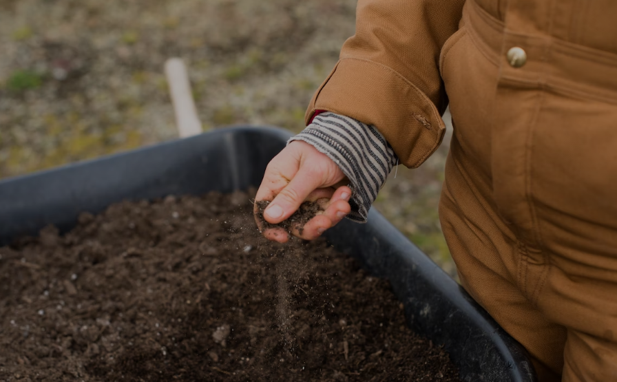 top soil for vegetable garden in florida